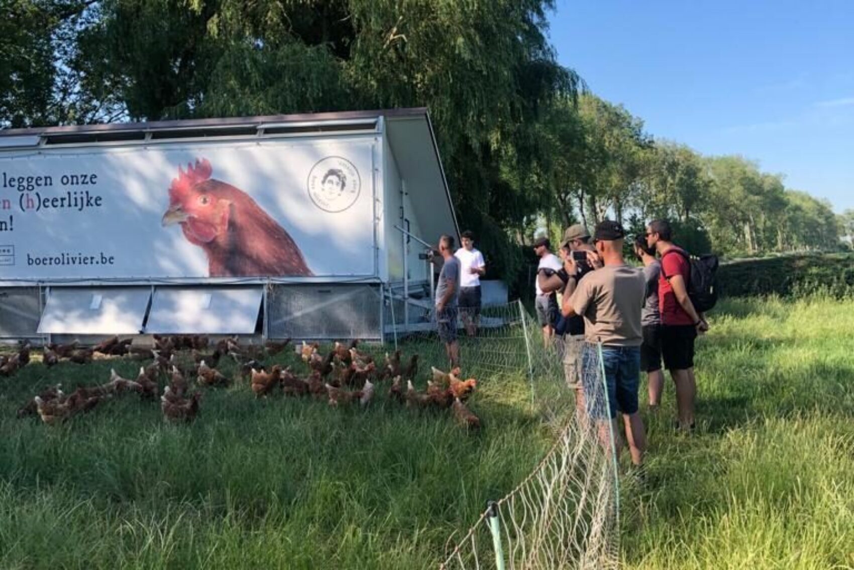Rondleiding op de boerderij
