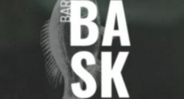 Bar Bask