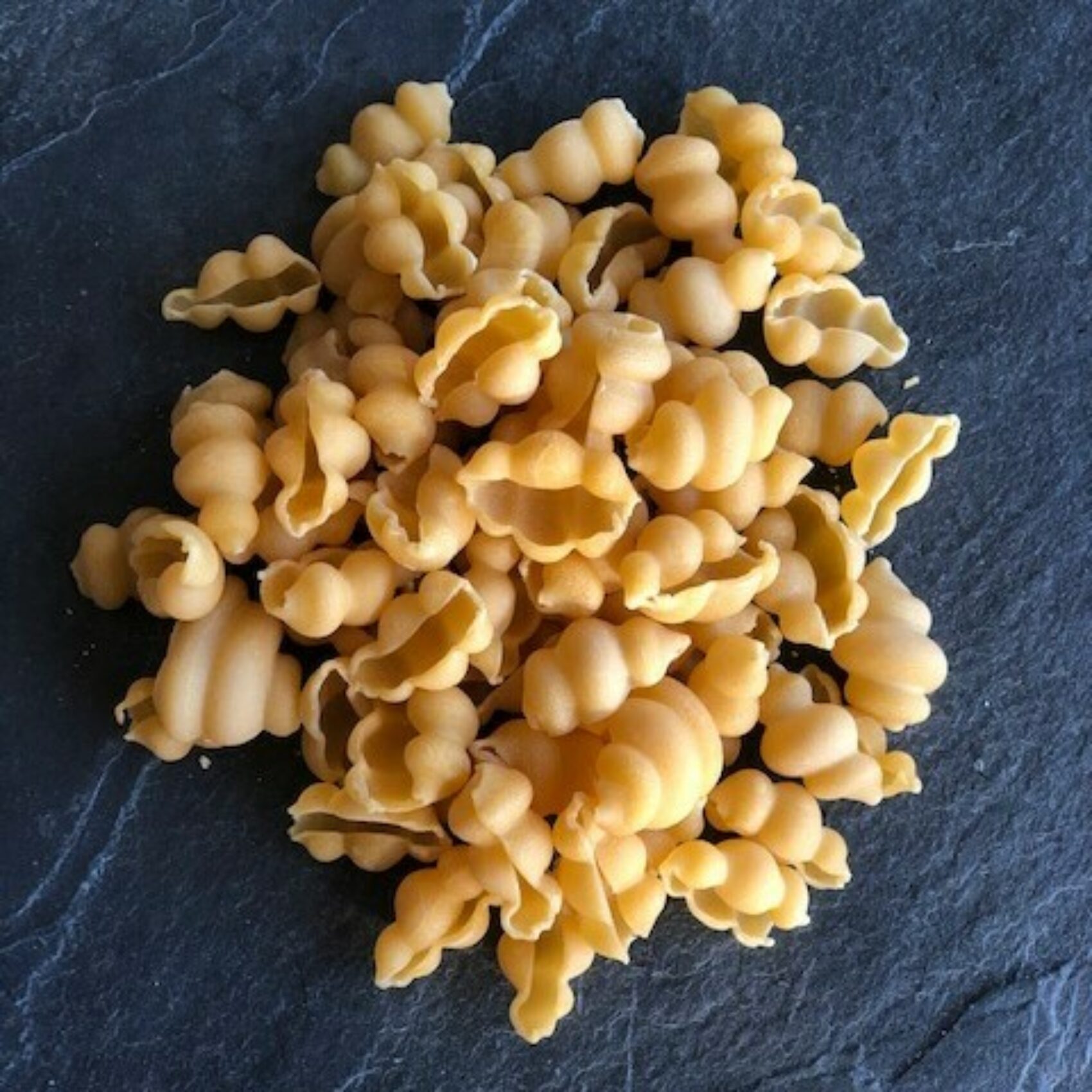 Conchiglie vierkant