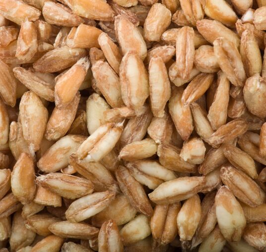 Spelt